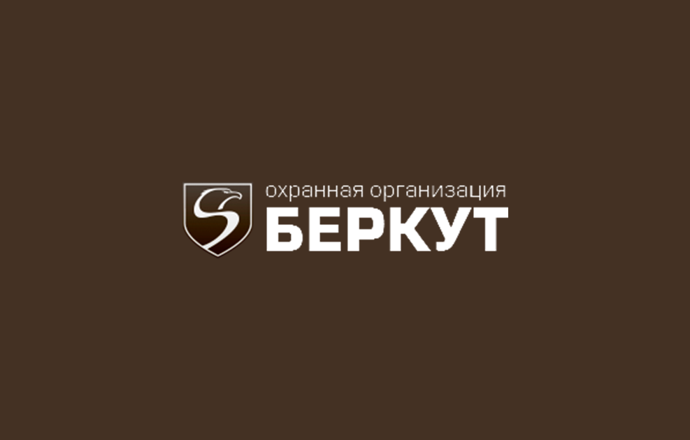 Проект ДагБеркут из портфолио Ахмеда