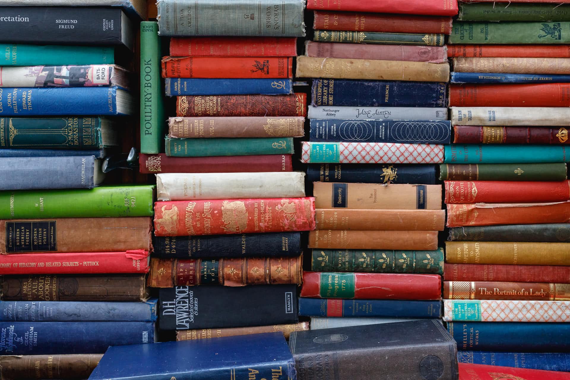 Проект Book La Riba из портфолио Ахмеда